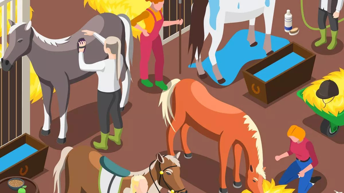 Παζλ, πέταλο