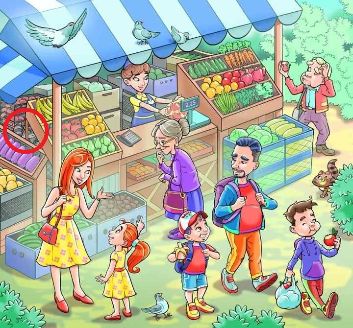 Οπτική ψευδαίσθηση