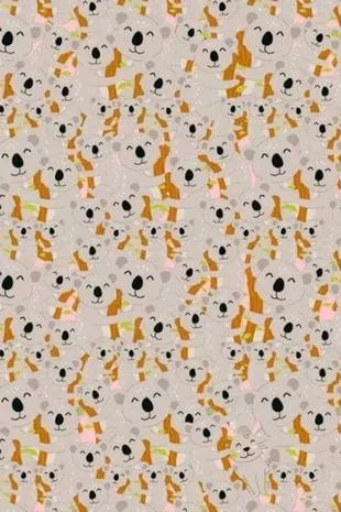 Βρήκατε το κουνέλι;