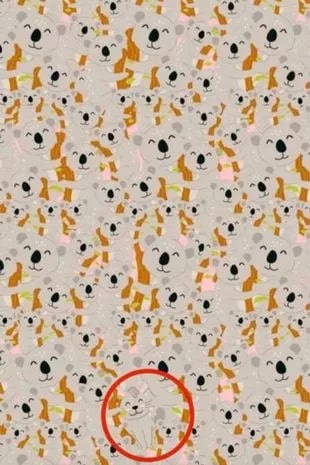 Μπορείτε να δείτε το κουνέλι τώρα;