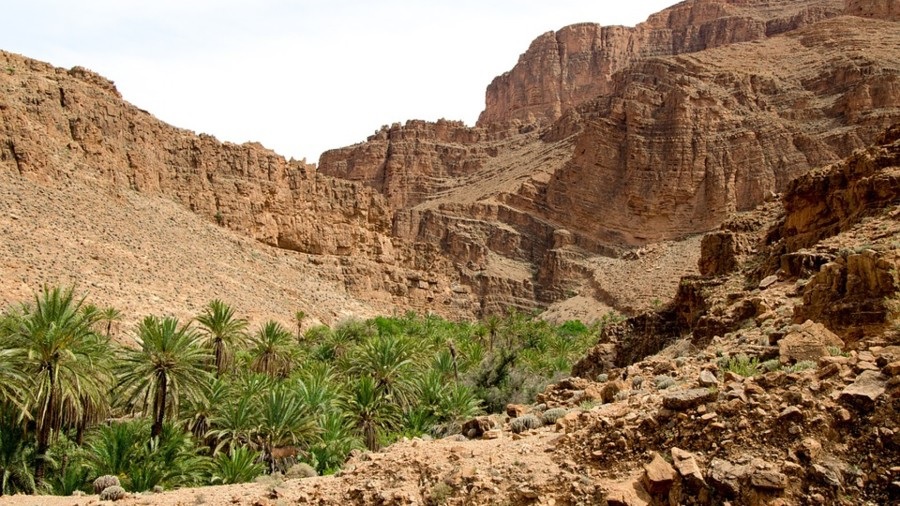 Οπτική ψευδαίσθηση
