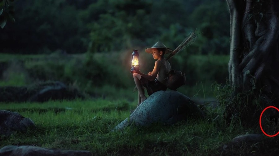 Οπτική ψευδαίσθηση