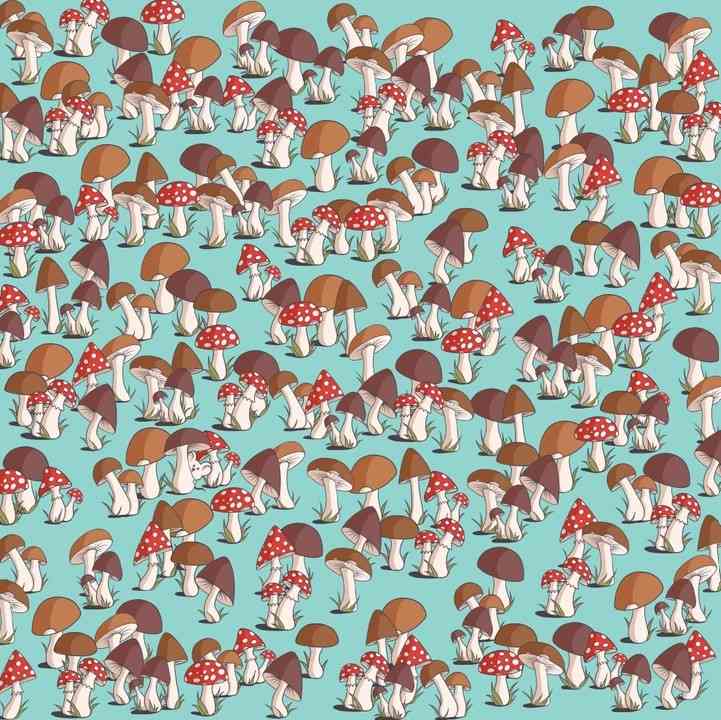 Πρωτόγνωρη οπτική ψευδαίσθηση: Μόνο οι ιδιοφυΐες βρίσκουν ένα ποντίκι ανάμεσα σε μανιτάρια σε 17 δευτερόλεπτα