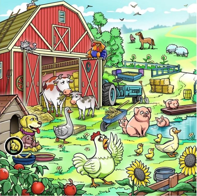 Τεστ ενσυνειδητότητας - στοιχείο